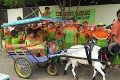 Asyiknya ngabuburit naik delman domba