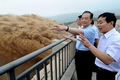 China antisipasi Topan Saola dan Damrey
