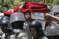 Palestina bantu militan Mesir