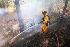 63.000 hektar hutan terbakar di AS