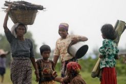 Myanmar bentuk komisi penyelidikan kekerasan Rohingya