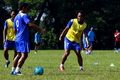 Persib genjot fisik pemain di dataran tinggi