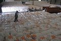 Produksi beras Sumut surplus 213.636 ton