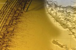 Filipina gempa 7,9 SR, Indonesia diancam tsunami