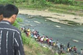 Ribuan ikan mati di Cisadane