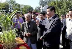 2 pekan menghilang, Wapres China akhirnya muncul