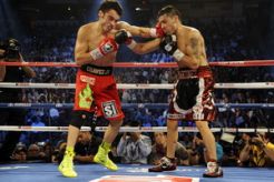 Chavez Jr terbukti gunakan Ganja
