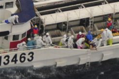 4 WNI di Jepang berhasil diselamatkan