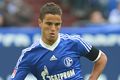 Robben dukung kepindahan Afellay ke Schalke