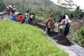 Puluhan warga bantu pembangunan jembatan gantung