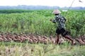 Kebutuhan tinggi, Jabar dorong produksi bebek