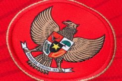 Delapan penggawa ISL belum gabung timnas