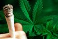 Gawat! Ganja makin marak di SMA