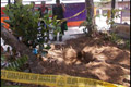 Makam janin hasil aborsi dibongkar