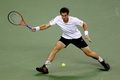 Murray tantang Stepanek di perempat final