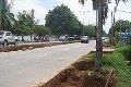 Pelebaran Jalan Margonda, ratusan pohon ditebang