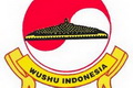 Menguji atlet wushu di open tournament