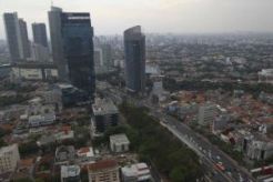 Pemprov DKI didesak tambah RTH