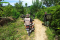 Satu SSK TNI dikirim ke Poso