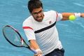 Tipsarevic jaga jalur lolos ke London