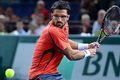 Tipsarevic akui kehebatan Federer