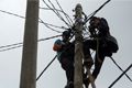 PLN miliki 96 tim pasukan khusus