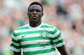 Diincar tim besar, Wanyama santai