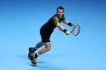 Hutchins : Musim ini fantastis bagi Murray