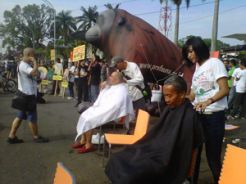 Perlindungan satwa liar minim, ProFauna aksi cukur gundul
