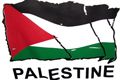 12 mahasiswa ditahan usai aksi solidaritas Palestina