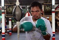 Roach : Pacquiao bisa tumbangkan Marquez