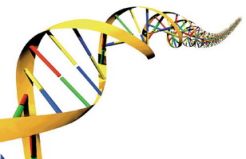 Uzbekistan akan buat bank data DNA