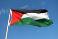 Peningkatan status Palestina di PBB punya 3 arti Penting