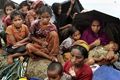Parlemen Iran kecam pembunuhan kaum Muslim di Myanmar