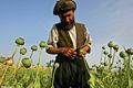 Iran salahkan NATO atas peningkatan produksi opium di Afghanistan