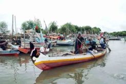 Kawasan Minapolitan Kulonprogo terganjal anggaran