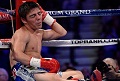Kalah dari Donaire, Arce pensiun