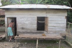Rumah bantuan, kok persis kandang ayam!