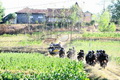 Sepanjang 2012, aksi koboi polisi marak terjadi