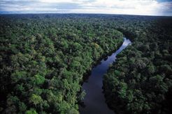 Kemenhut: Indonesia bukan negara perusak hutan