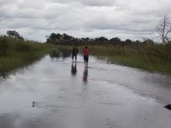 Jalan khusus batubara dinilai belum laik