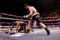Warren tantang Froch hadapi Cleverly