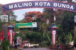 Pengunjung hotel dan obyek wisata melonjak