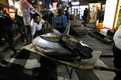 Ini dia tuna sirip biru seharga 1,7 miliar