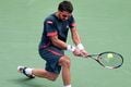 Ingin menang, Tipsarevic bermain sabar