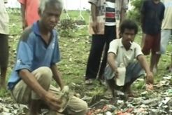 Buang sampah medis sembarangan, ternak warga mati