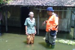 Sungai Temulus meluap, 85 hektare padi terendam