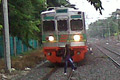 Pohon tumbang di Kemayoran, KRL terhenti