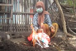 Ratusan ekor ayam di Jombang mati mendadak