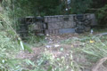 Cium pantat truk, bus terjun ke jurang
